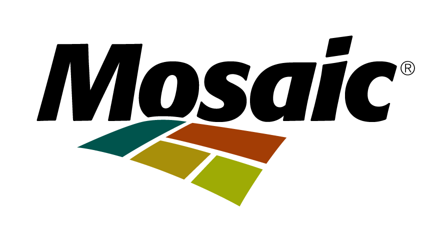 Logo Mosaic